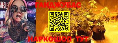 спиды Обь